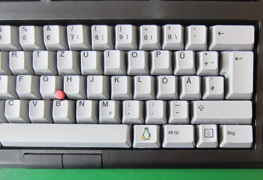 Detail of EnduraPro Keyboard (penguin key, touchpoint)